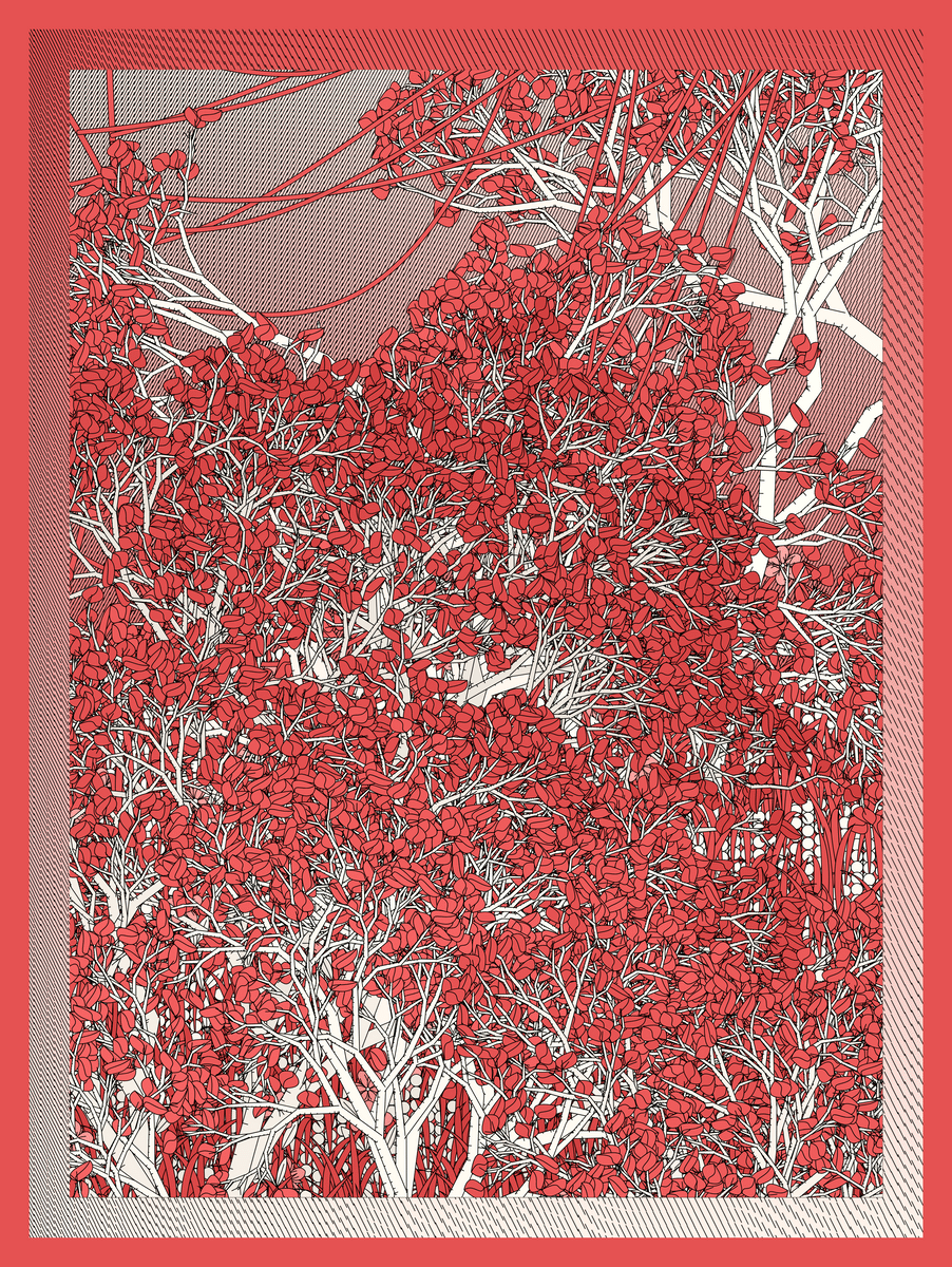 Mint #74