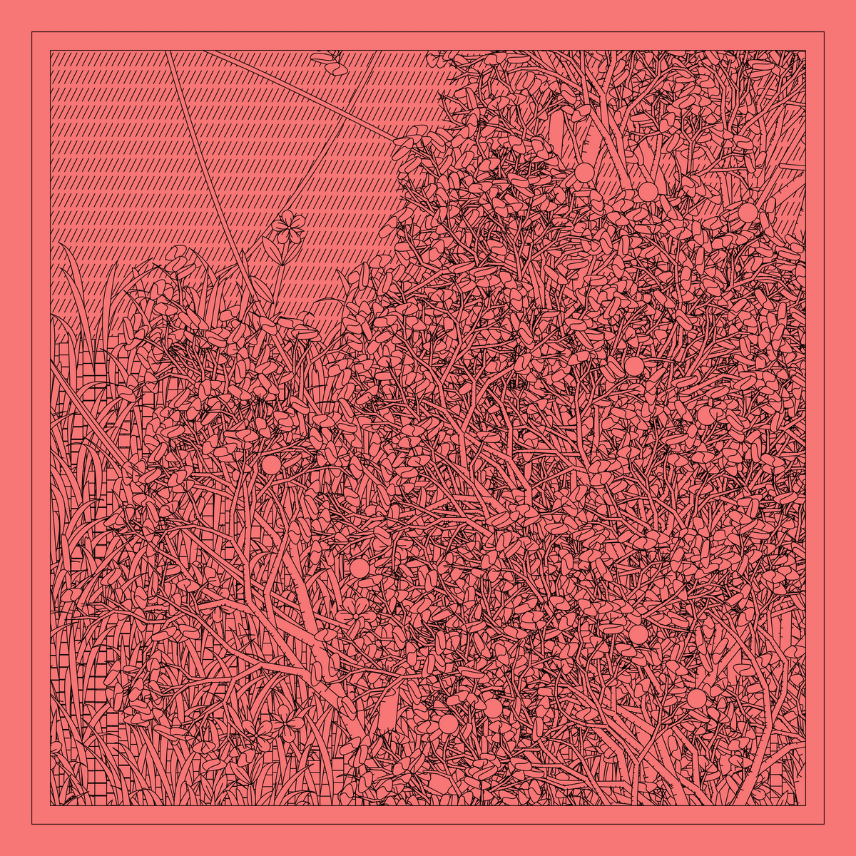 Mint #76