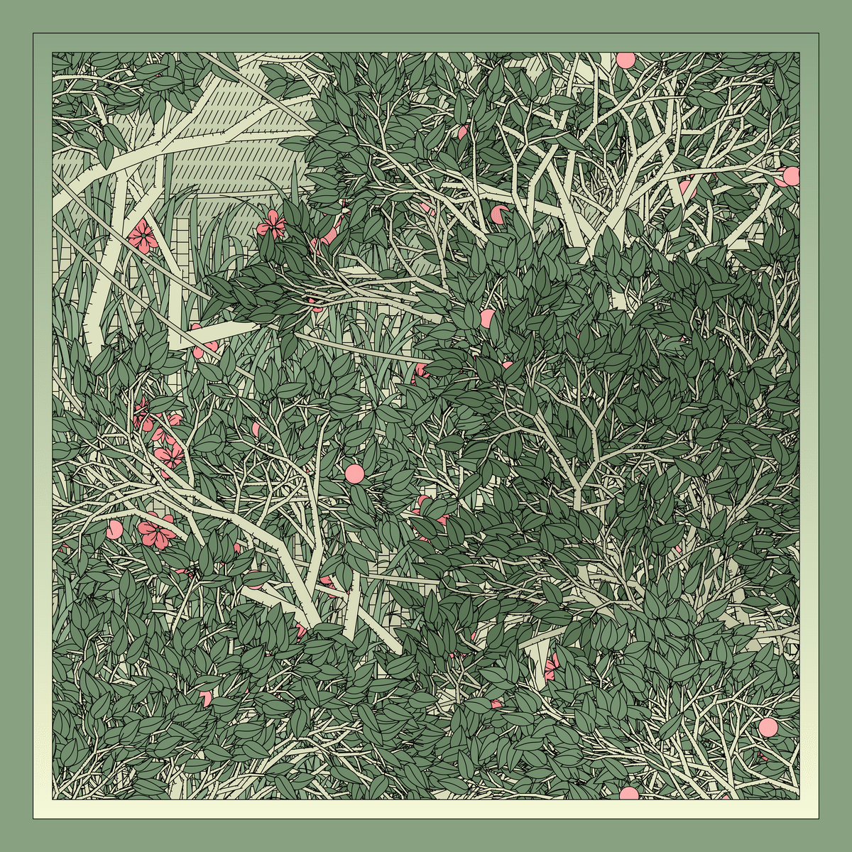 Mint #79