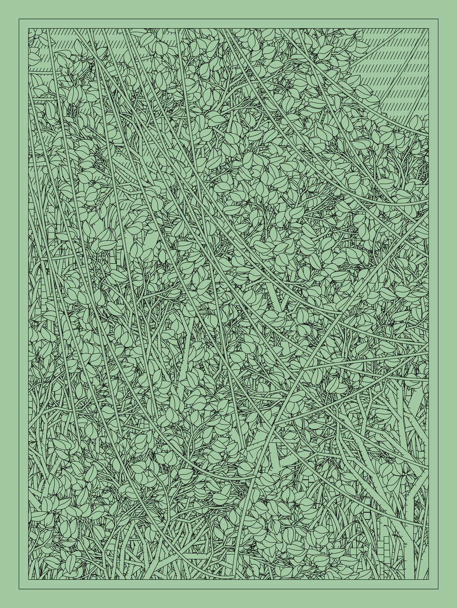 Mint #97