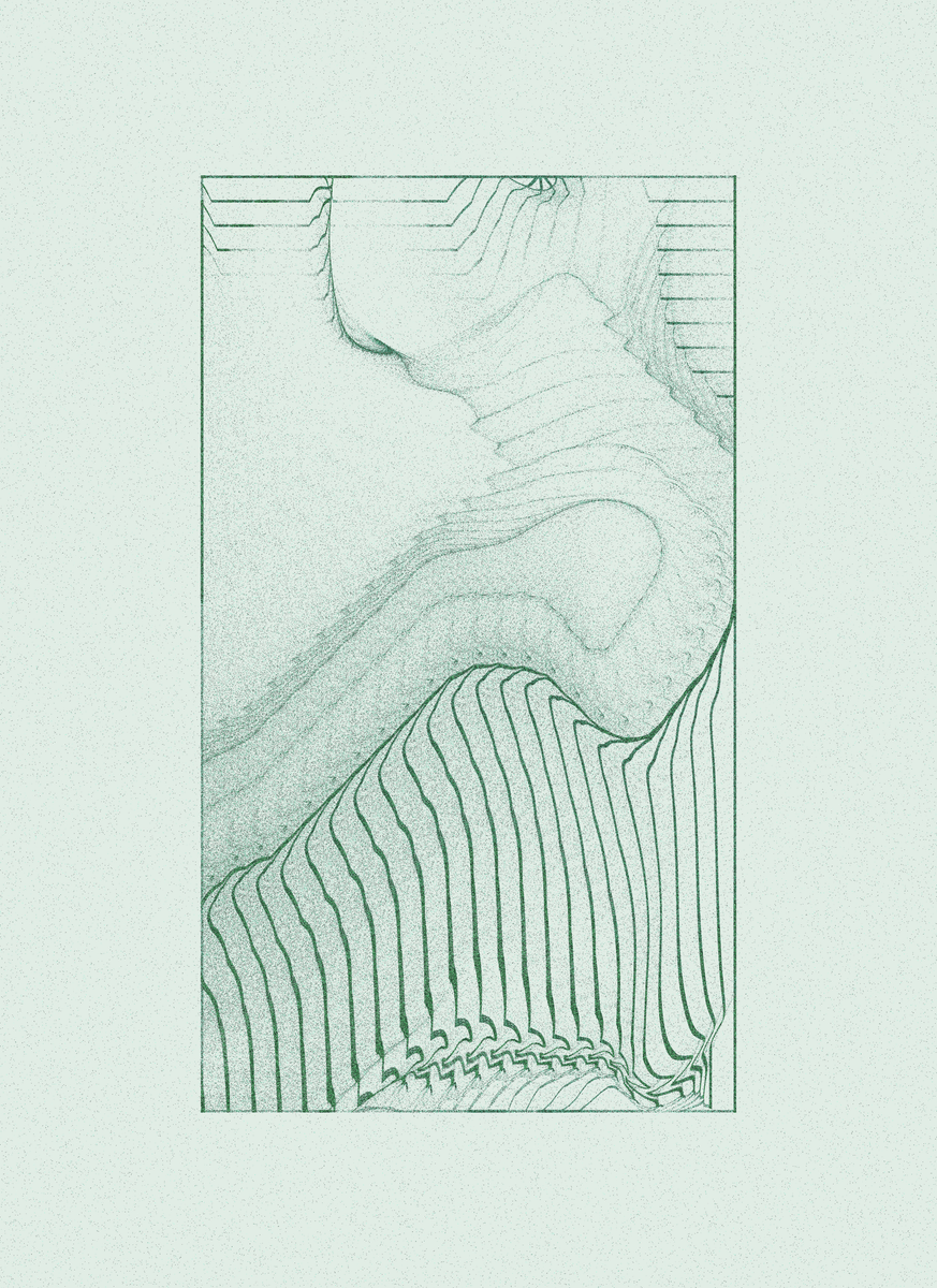 Mint #16