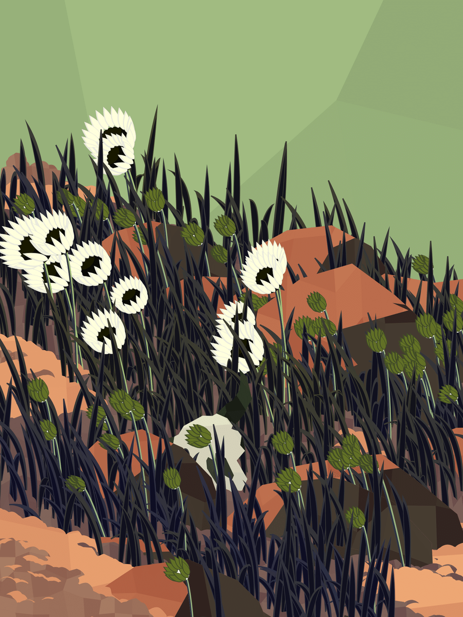 Mint #52